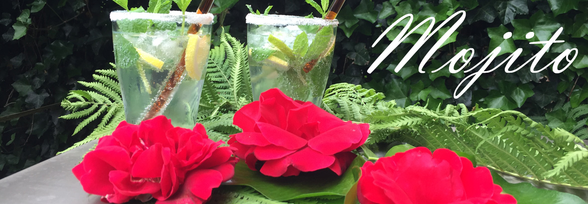 Mojito - Zomerse recepten