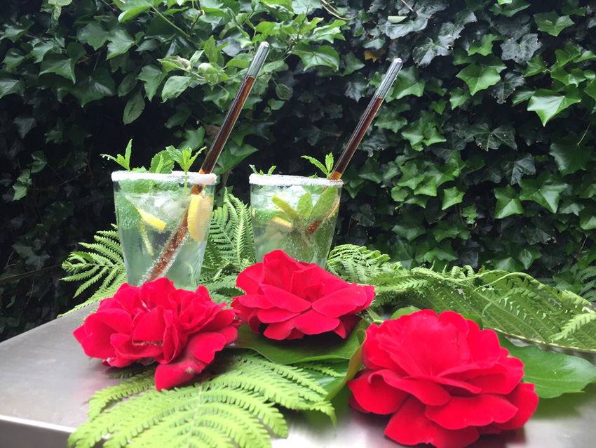 Mojito - Zomerse recepten