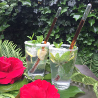 Mojito - Zomerse recepten