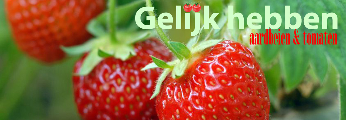 Gelijk hebben - Aardbeien en tomaten