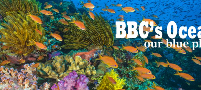 BBC’s Oceans, our blue planet