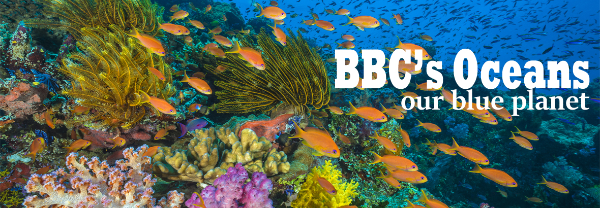 BBC’s Oceans, our blue planet