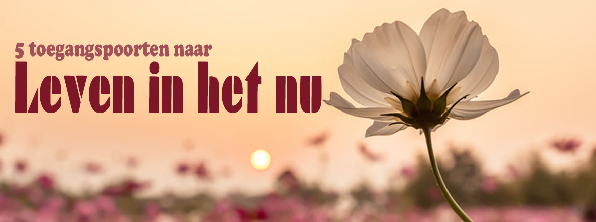 5 toegangspoorten naar Leven in het nu - Leven in het nu heeft voordelen!