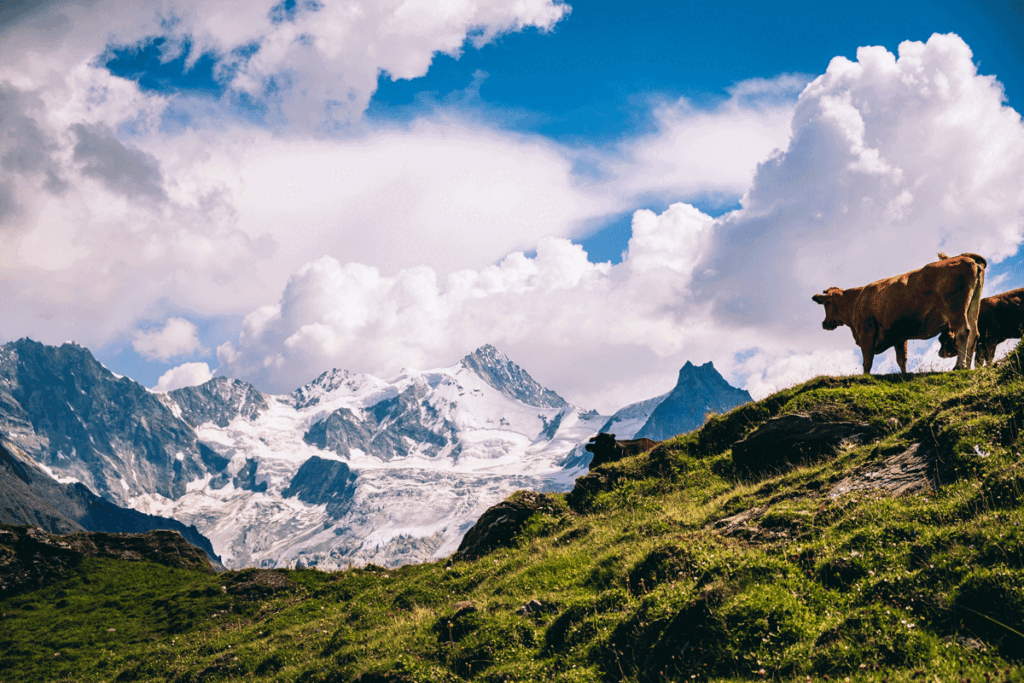 De vijf mooiste wandelgebieden van de Alpen