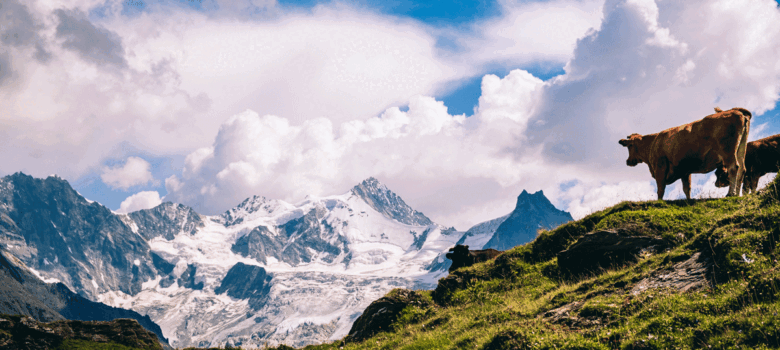 De vijf mooiste wandelgebieden van de Alpen
