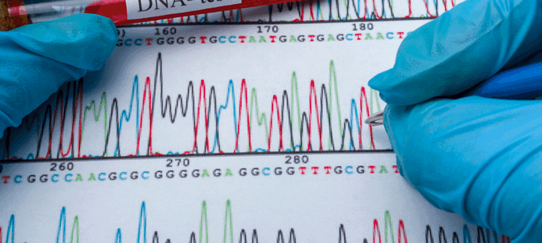Zoeken naar je voorouders met DNA-tests: een reis terug in de tijd