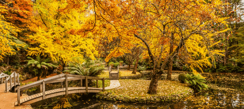 De mooiste herfstwandelingen