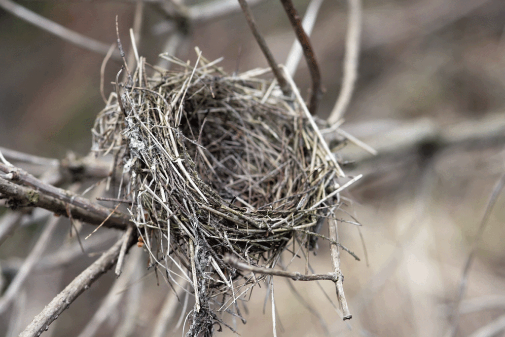 Hoe ga je om met "het empty nest"?