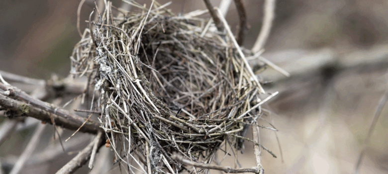 Hoe ga je om met "het empty nest"?