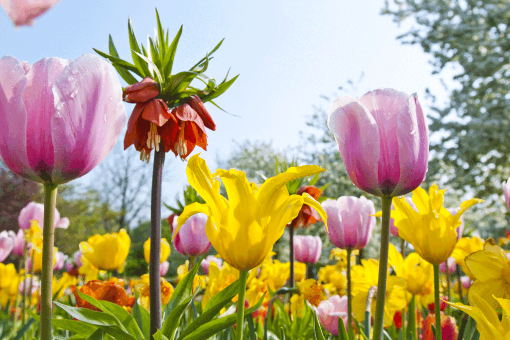 Aan het werk in de tuin! Wat moet je doen?